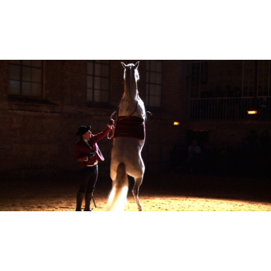 LES CHEVAUX ANDALOUS