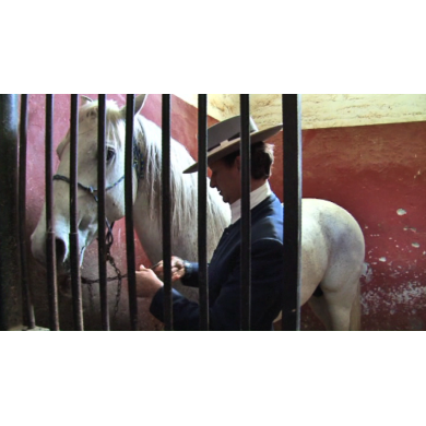 LES CHEVAUX ANDALOUS