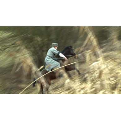 LE CHEVAL AKHAL TEKEDU CAUCASE